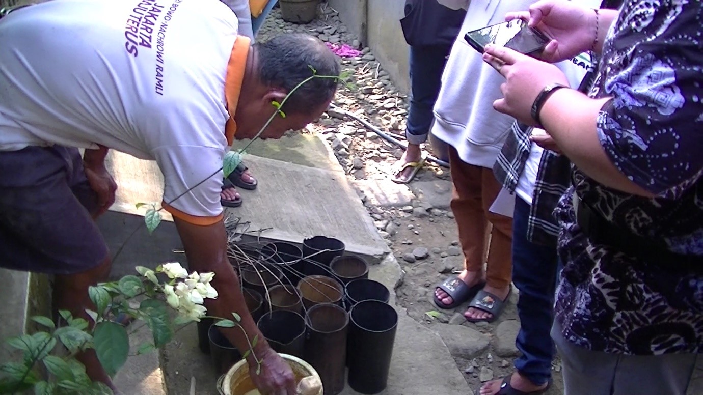 caption : Siswa belajar proses menderes atau mengambil getah kelapa (nira) untuk dibuat menjadi gula kelapa