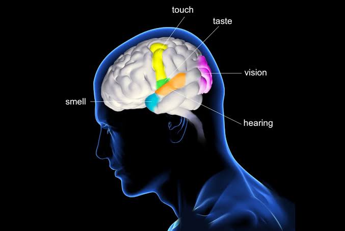 Percept PC dengan Teknologi BrainSense di Siloam Hospital Kebon ...