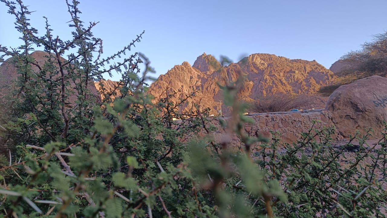 Lihat Uniknya Jabal Magnet, Wisata Ilmiah di Madinah