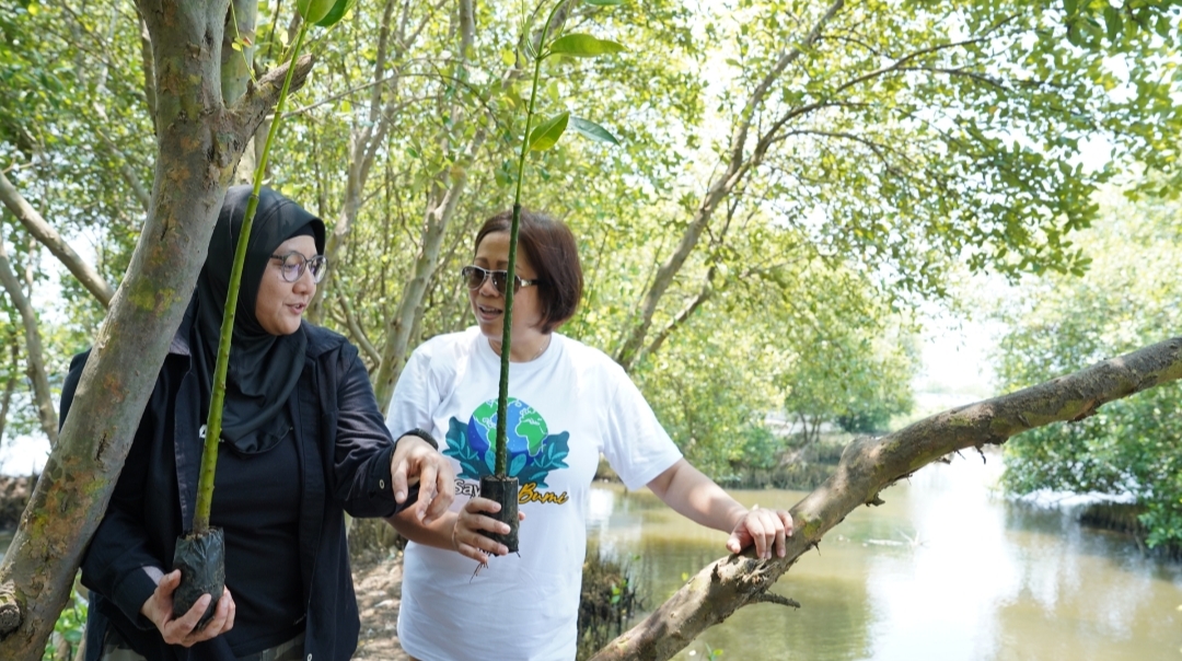 Konsisten dengan Gerakan #SayangBumi, Acer Bersama Seasoldier Tanam Ratusan Bibit Mangrove dan Bersihkan Pantai